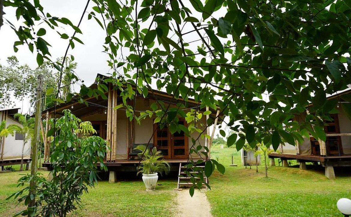 Houttuyn Wellness River Resort Paramaribo Zewnętrze zdjęcie