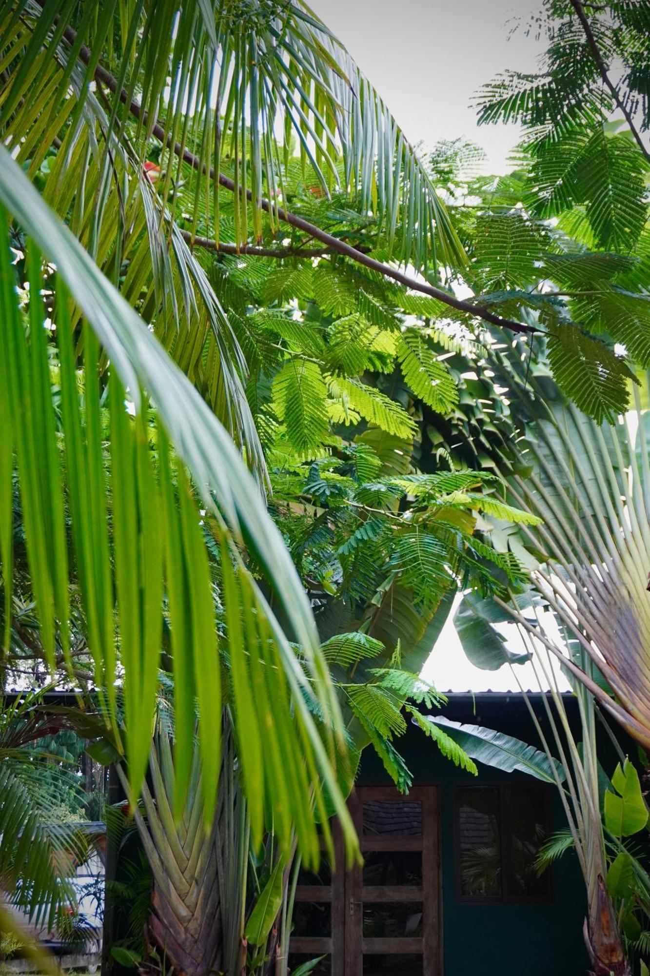 Houttuyn Wellness River Resort Paramaribo Zewnętrze zdjęcie