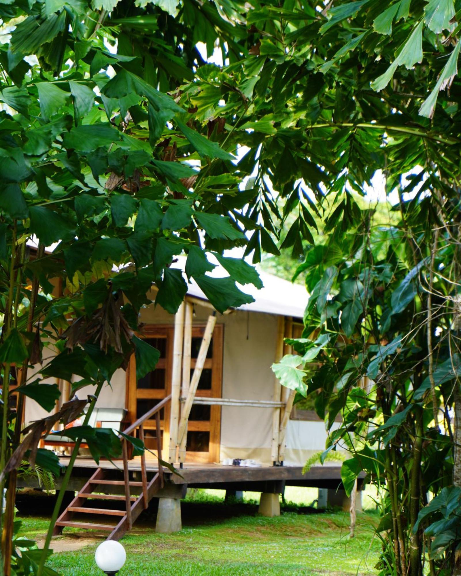 Houttuyn Wellness River Resort Paramaribo Zewnętrze zdjęcie