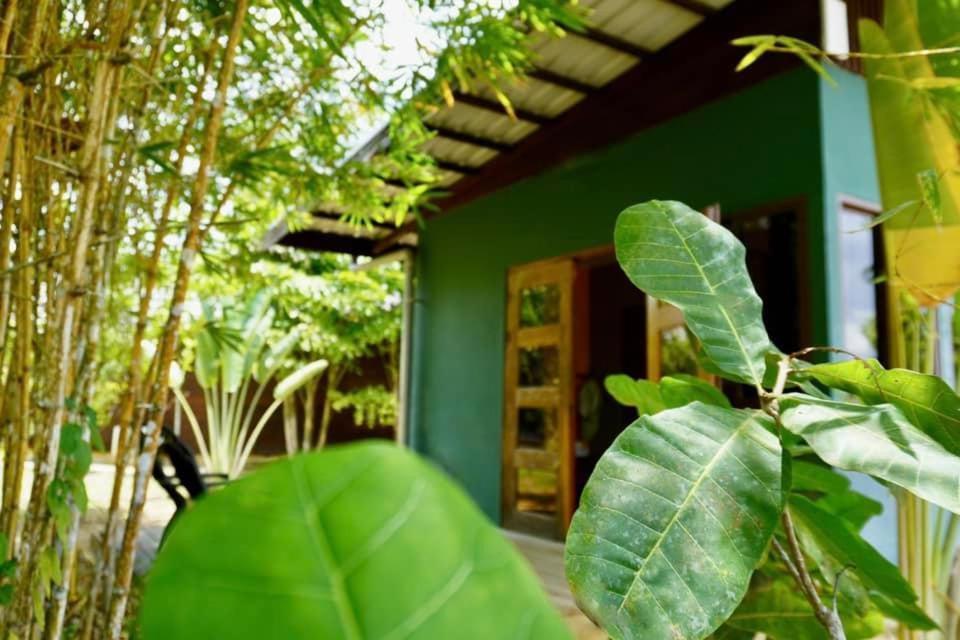 Houttuyn Wellness River Resort Paramaribo Zewnętrze zdjęcie
